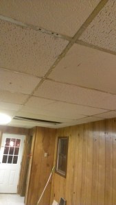 yukky high street ceiling